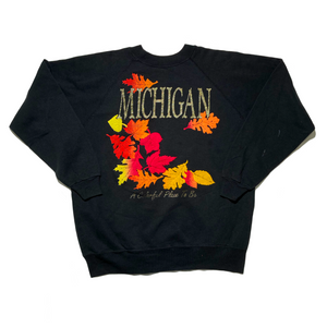 Michigan sweatshirt